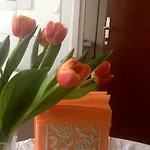 Magnolia Split