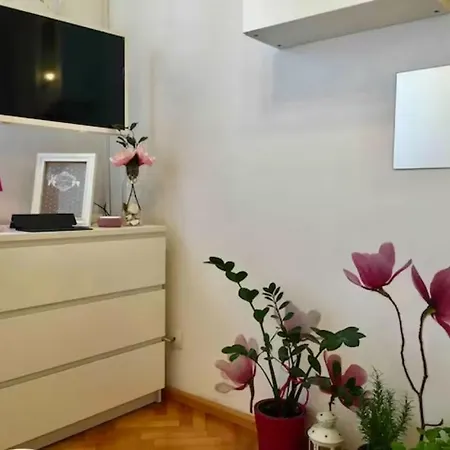 Magnolia