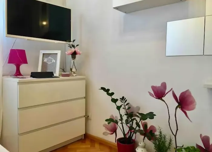 Magnolia