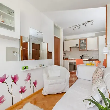 Magnolia 斯普利特